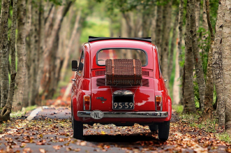 Fiat 500 por el bosque